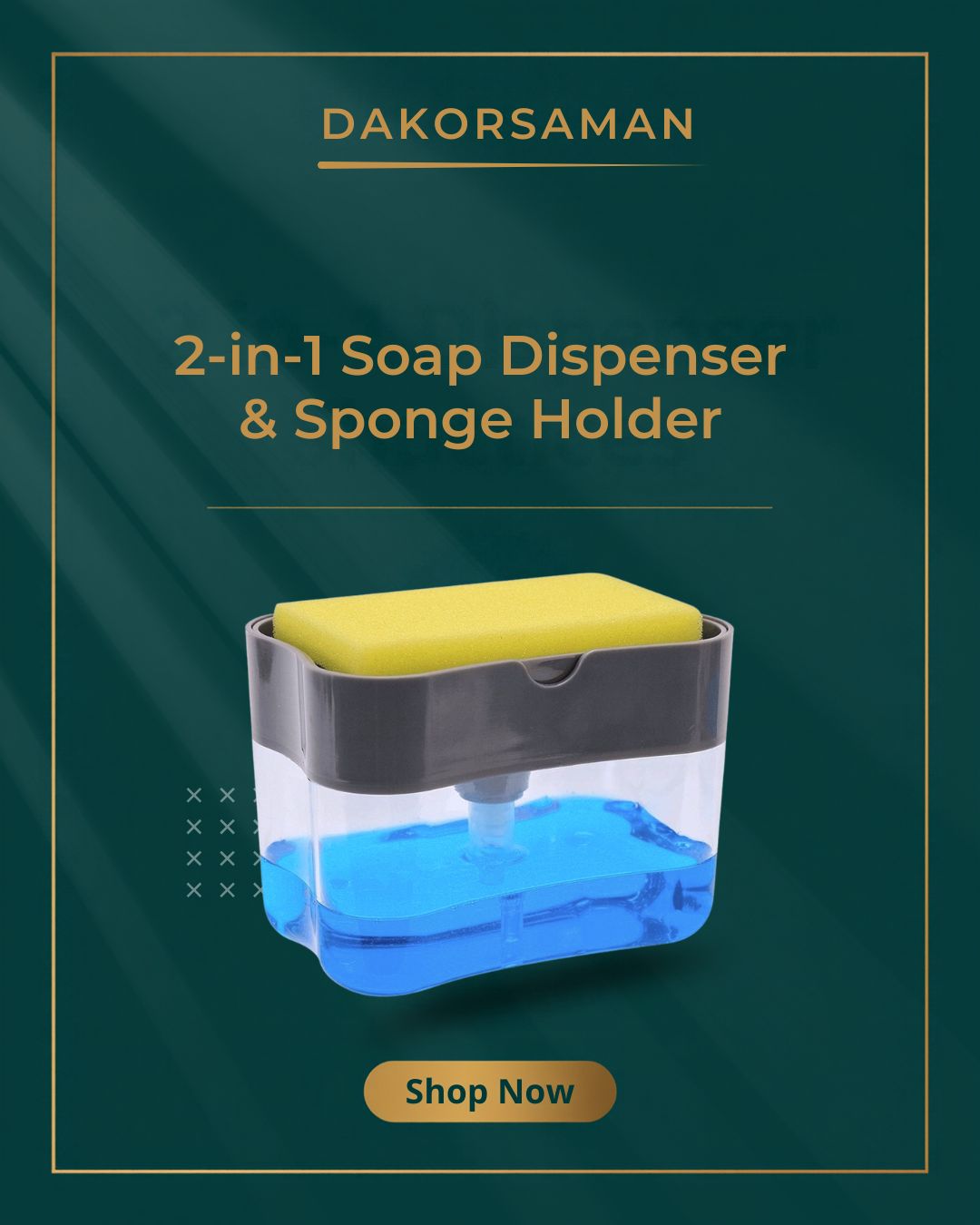 2-in-1 Soap Dispenser with Sponge Holder for Kitchen Sink
